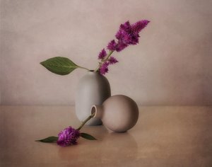 Rolige blomstervaser af Elena Arjona