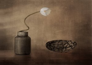 Stilleben med hvide blomster af Elena Arjona