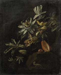 Stilleben med passionsblomster af Elias van den Broeck