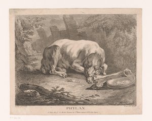 sovende hund Phylax (titel på objekt) af Élie du Mesnil