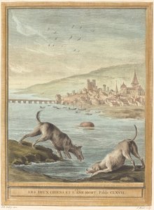 To hunde og det døde æsel af Elie du Mesnil after Jean Baptiste Oudry
