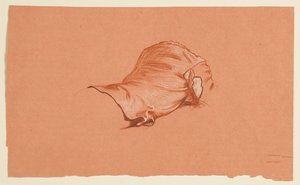 draperistudie til udklædt mandlig torso af Elihu Vedder
