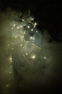 Lightness of being 1, 2014 (silketryk)