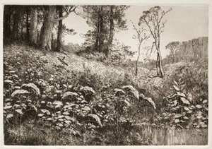En sommereftermiddag, 1882. af Elis F. Miller