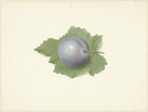 Blomme på et blad af Elisabeth Geertruida van de Kasteele