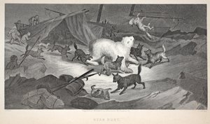 Bjørnejagt, illustration fra "The second Grinnell Expedition in Search of Sir John Franklin...", 1856