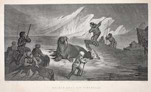 Walrus Hunt off Pikantlik, illustration fra 