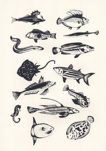 Monotone Plain Fish, 2015 (serigrafi)