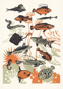 Orange tangfisk, 2015 (serigrafi)