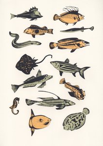 Plain Fish, 2015 (serigrafi) af Eliza Southwood