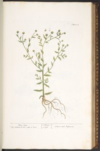 Tallerken 103, fra 