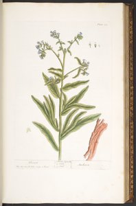 Tallerken 112, fra 
