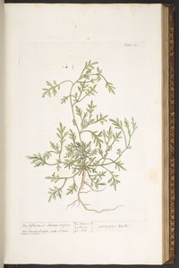 Tallerken 120, fra 