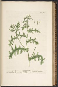 Tallerken 132, fra 