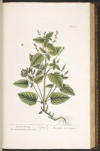 Tallerken 162, fra 