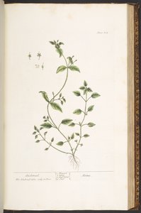 Tallerken 164, fra 