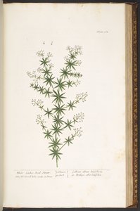 Tallerken 168, fra 