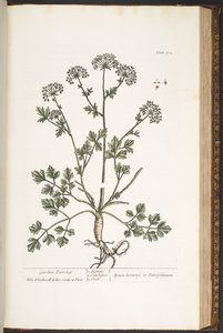 Tallerken 172, fra 