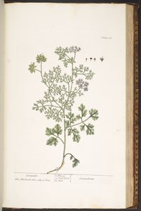 Tallerken 176, fra 