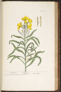 Tallerken 179, fra 