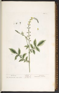 Tallerken 21, Agrimony, fra 