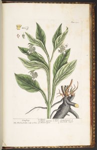 Tallerken 252, fra 