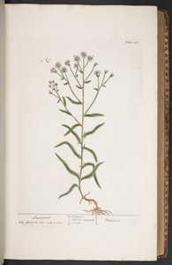 Tallerken 276, fra 