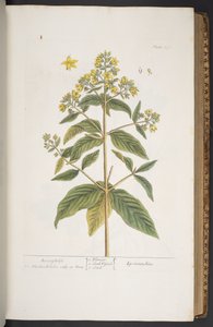 Tallerken 278, fra 