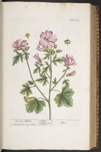 Tallerken 309, fra 