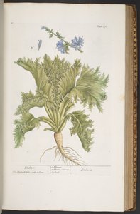 Tallerken 378, fra 