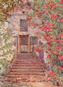 Lyserøde og hvide oleander, Alphen, Wynberg (farvelitografi)