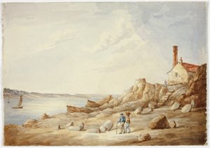 Rocky Shore af Elizabeth Murray