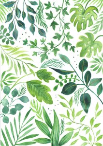 Leafy Medley, 2018 (akvarel)