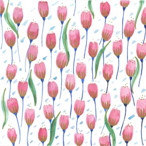 Lyserøde tulipaner, 2017 (akvarel)