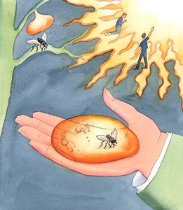 Hvad betyder helvedes eller himlens 