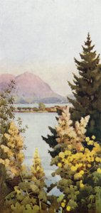 En have (farve litho)
