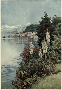 A Group of Yuccas, Villa Melzi, Lago di Como, Illustration fra 
