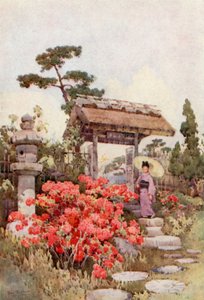 Azalea (farve litho)
