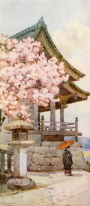 Kirsebærtræ ved Kyomidzu (farvelitografi) af Ella Du Cane