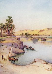 Islands of the First Cataract (farve litho) af Ella Du Cane