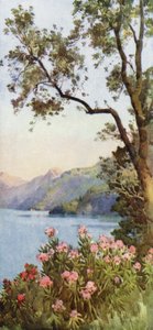 Lake Lecco, Comosøen (farve litho) af Ella Du Cane
