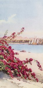 Bjerge nord for Assuan fra en have på Elephantine Island (farve litho) af Ella Du Cane