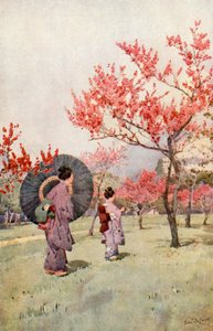 Peach Blossom (farve litho) af Ella Du Cane