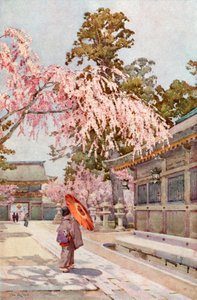 The Drooping Cherry (farve litho) af Ella Du Cane