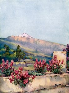 The Peak, fra Villa Orotava (farve litho) af Ella Du Cane