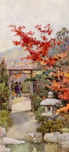 The Scarlet Maple (farve litho) af Ella Du Cane