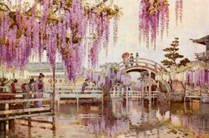 Wistaria, Kameido (farve litho) af Ella Du Cane
