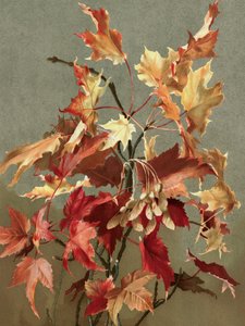  af Ellen Thayer Fisher