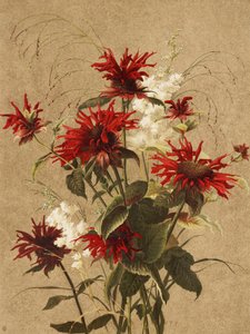  af Ellen Thayer Fisher