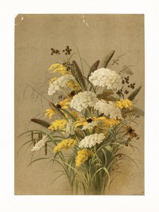  af Ellen Thayer Fisher